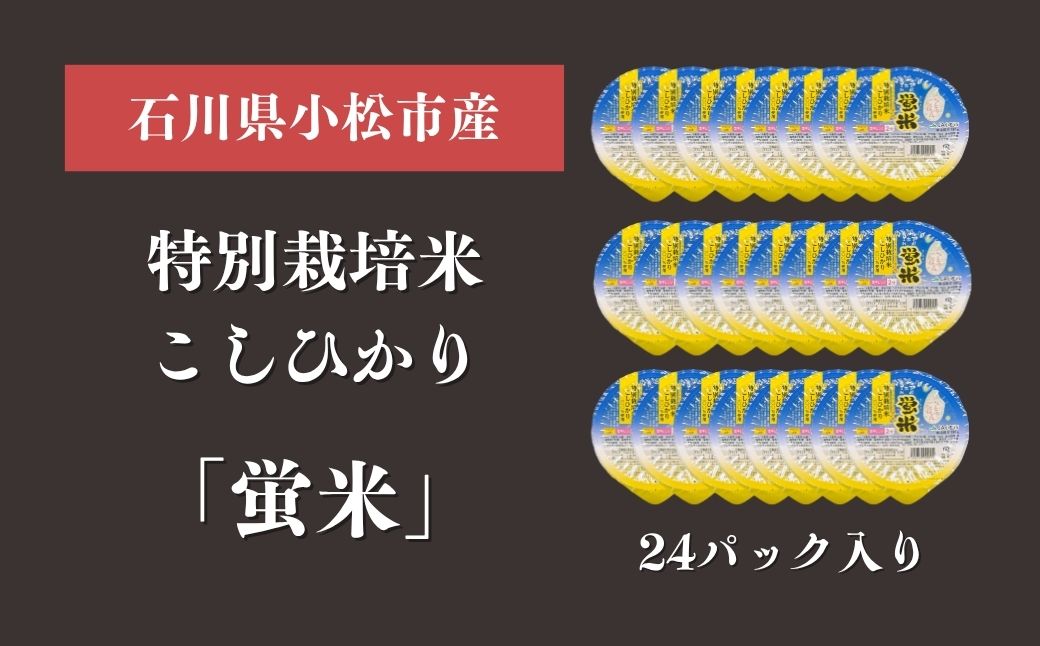 『蛍米』 パックごはん180g×24個入り 特別栽培米こしひかり パックご飯 パックライス コシヒカリ 24食 石川県 小松市産 お米 防災用