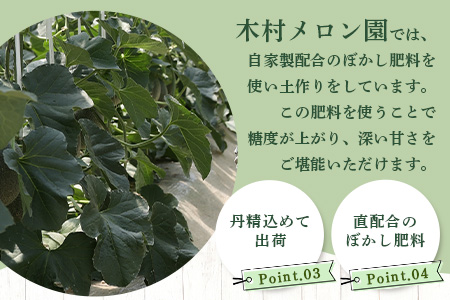 【2026年分 予約】 先行予約 グラバーメロン 3玉 (約3kg) 熊本県 多良木町産 フルーツ 果物 高糖度 甘い メロン ぐらばー めろん 熊本メロン 2026年4月中旬～発送開始