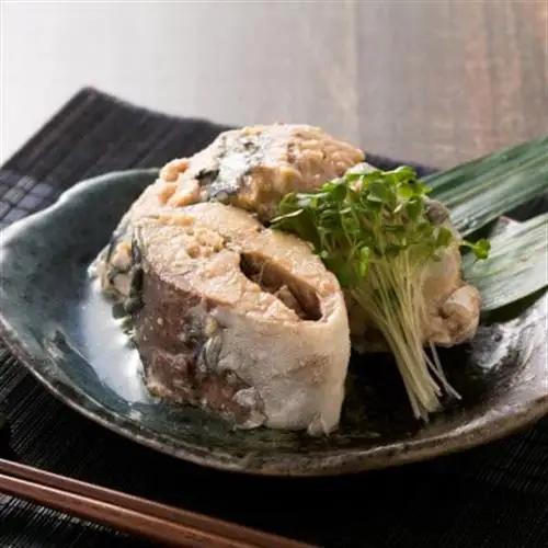 寒鯖商品　さば缶詰水煮200g×24缶入_惣菜・加工品 魚 缶詰・瓶詰 _【1388748】