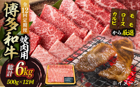 【全12回定期便】博多和牛焼肉用 500g 牛肉 BBQ [ABBP035]