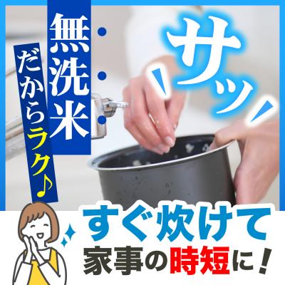 ふるさと納税 五所川原市 【6月後半発送】 令和7年産 無洗米 5kg はれわたり 5キロ 青森県産 特A受賞歴 |  | 01