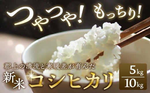 令和７年産 郡上産こしひかり 5kg 内容量選べる 食品 米 精米 白米 コシヒカリ お米 コメ こめ 米  G0192_5_lim