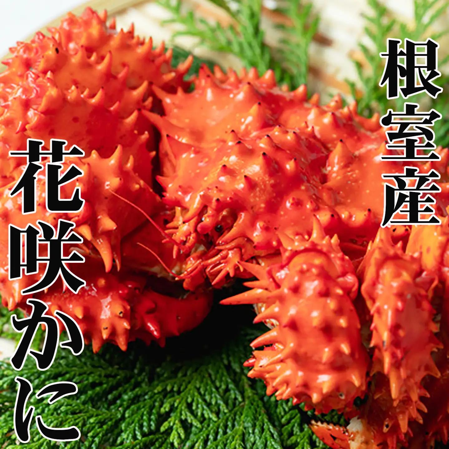 【年内配送可】【北海道根室産】花咲かに300g前後～450g前後×3尾 A-76031