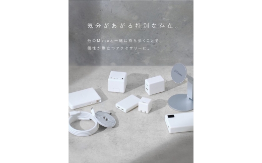 CIO ケーブル Mate Flat Spiral Cable CtoC Type-Cケーブル 充電 iPhone スマートフォン iPad ナチュラルホワイト｜小型 軽量 おしゃれ 便利 [3332]