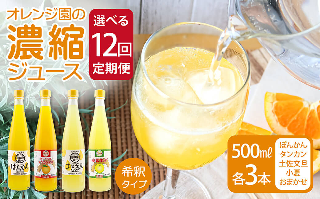 
オレンジ園の濃縮ジュース（ぽんかん・タンカン・土佐文旦・小夏・おまかせ）500ml 各3本～ 12回定期便 希釈用 みかんジュース チューハイ用 ドリンク ジュース 柑橘類 蜜柑 みかん【J00118-1】
