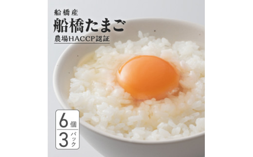 船橋産 地玉子「船橋たまご」18個セット 6個×3パック 卵