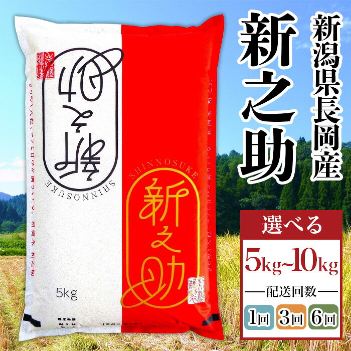 【ふるさと納税】米 新米 定期便 5kg 10kg 令和8年産 選べる容量・定期回数 新之助 3回 6回 3ヶ月 6ヶ月 新潟県産米 新潟県 長岡市産 精米 白米 お米（株式会社コバヤシ）