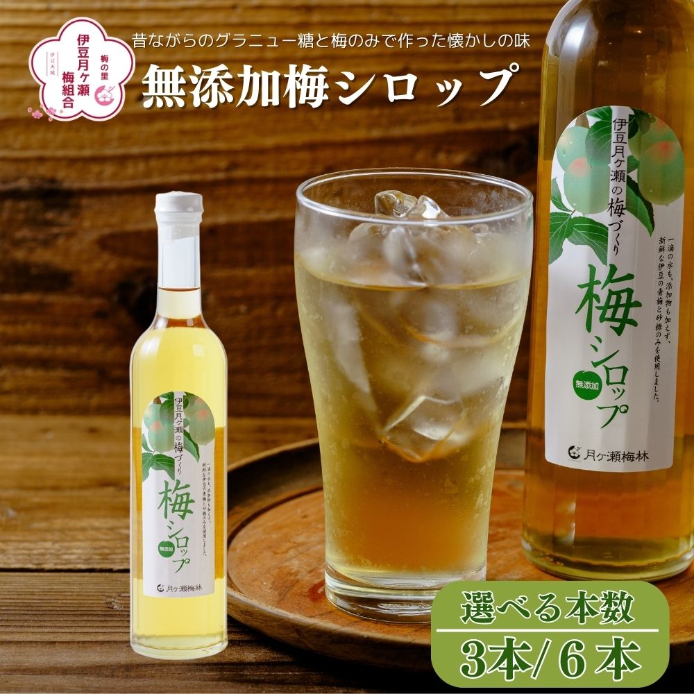 【ふるさと納税】 梅シロップ (選べる本数 / 3本セット(化粧箱入) 6本セット) / 国産 無添加 梅 うめ ウメ 焼酎 炭酸水 炭酸 飲料 果実 ドリンク シロップ ジュース セット 瓶 贈り物 ギフト プレゼント お土産 手土産 お取り寄せ 静岡県 伊豆市 静岡 伊豆