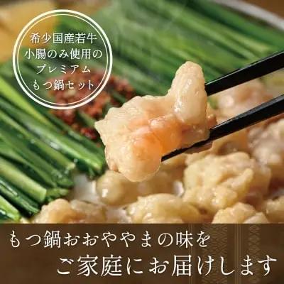 Z65-41 【もつ増量】博多もつ鍋おおやまもつ鍋みそ味2人前 もつ鍋