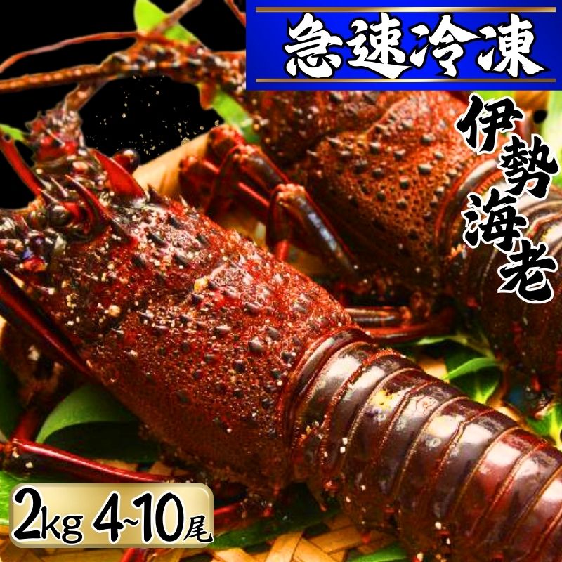 【ふるさと納税】 【漁師直送／活〆冷凍】 冷凍 伊勢海老 （2kg／4〜10尾） 銚子港 水揚げ 急速冷凍 冷凍伊勢海老 伊勢エビ いせえび 海老 エビ ハーフカット お祝い 高級 人気 新鮮 贈答 お取り寄せ グルメ 産地直送 送料無料 ふるさと納税 千葉県銚子市 仲野水産