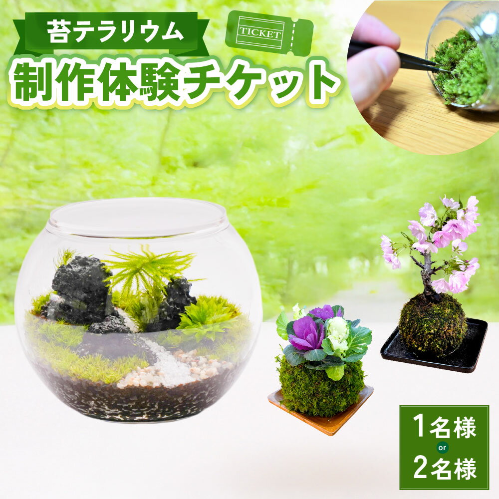 【ふるさと納税】＜選べるご利用人数＞ 苔テラリウムの制作体験チケット 1名様 / ペアチケット（ 2名様 ） 苔玉 ワークショップ 苔 コケ 植物 和風 インテリア 日本製 体験 チケット 施設利用券 利用券 商品券 自然 大阪府 阪南市 送料無料