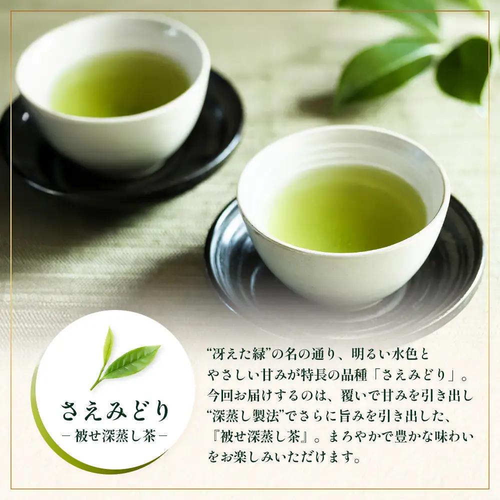 【2026年摘みたて！】ナナ茶 新茶贅沢2種セット 被せ深蒸し茶 さえみどり（80g×1P） ＆ 被せ茶 あさのか（80g×1P）RS-12｜お茶 茶 茶葉 お茶の葉 被せ茶 玉露仕立て 緑茶 高級緑