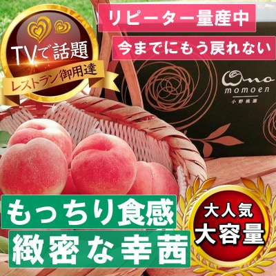 
                  《もっちりカリカリ不思議な幸茜》人気品種指定ギフト5年連続TV出演話題ブランド2026年8月中旬発送【1465332】
                
