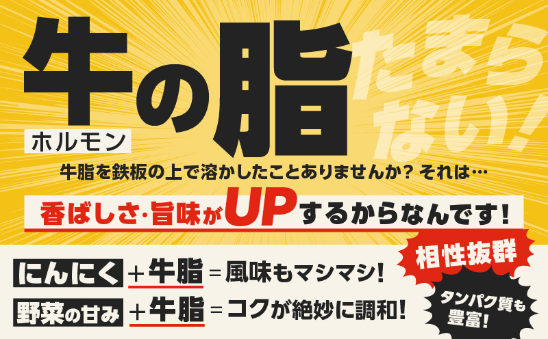 自家製 国産 牛 あぶらかす 小 1kg (500g×2) ホルモン かすうどん お好み焼き たこ焼き チャーハン 餃子 ラーメン おつまみ おすすめ 隠し味 人気 お取り寄せ グルメ 食品 キャンプ