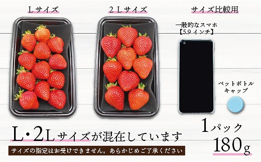 【2027年3月より順次発送】食べきりサイズ！博多あまおう8パック　約1440g（2L～Lサイズ）[H2319]