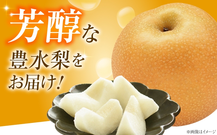 梨 なし フルーツ 果物 くだもの 食品 人気 おすすめ 季節のフルーツ 豊水梨 ナシ シャリッと みずみずしい 濃厚 コク