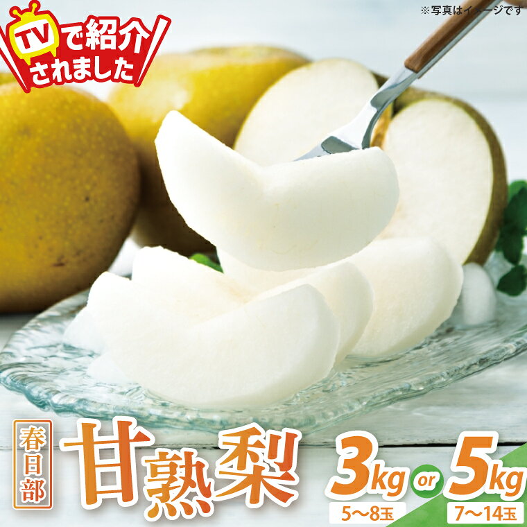 【ふるさと納税】森田さんが作った☆春日部甘熟梨3kg or 5kg☆（7～14玉）【埼玉県 春日部市 梨 なし ナシ 甘熟梨 完熟梨 フルーツ 果物 旬 産地直送】(BG001-1/BG003)