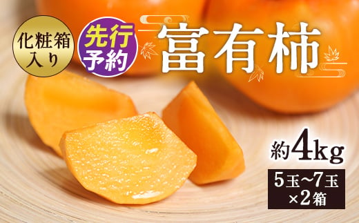 
                  富有柿 合計約4kg 1箱5～7玉×2箱 化粧箱 付き 柿 太秋柿 【2026年11月上旬～12月下旬発送予定】
                