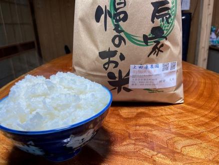 S051-004_【令和8年産】先行受付 特別栽培米 特別大地米 精米 5kg