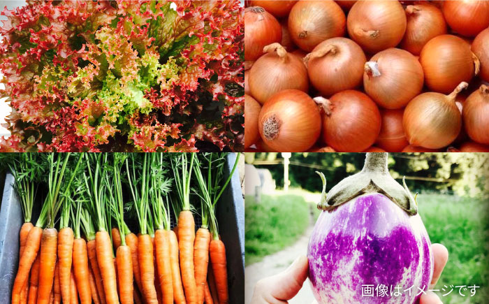 【全6回定期便】糸島の朝産み黄金タマゴ10個 朝どれ新鮮野菜5品 セット【福岡県糸島産】 糸島市 / オーガニックナガミツファーム 玉子 やさい 	[AGE048]