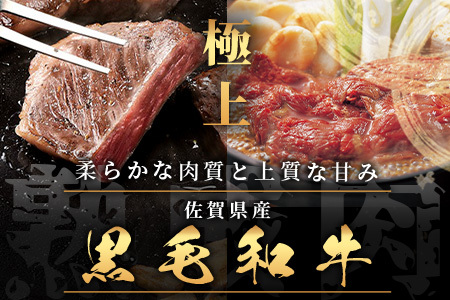   【熟成肉『堪能』コース】佐賀県産黒毛和牛 ロースステーキ＆すきやき肉 L-19