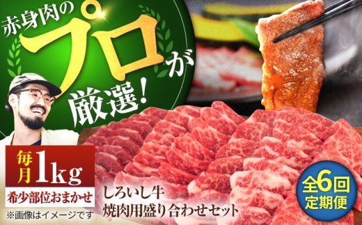 【牧場直送】【6回定期便】佐賀県産 しろいし牛 焼肉用 盛り合わせ セット（希少部位）各回1kg（5～6人前） 【佐賀セントラル牧場】佐賀県産 肉 お肉 牛肉 焼き肉 BBQ バーベキュー モモ カタ 肩 バラ 国産 焼肉 九州 佐賀県 白石町  白石 [IAH025]