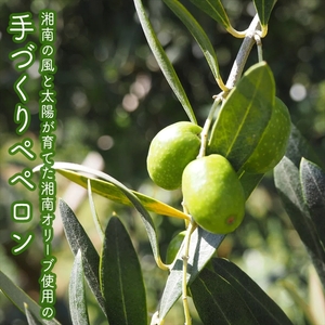 しいたけペペロン　6個セット【 家庭用 自宅用 贈答品 贈答用 ギフト お取り寄せ お中元 お歳暮 贈り物 お祝い 神奈川県 小田原市 】