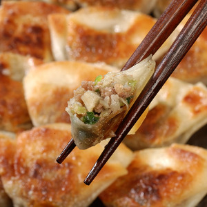 芦屋 伊東屋 謹製 黒豚 一口餃子 40個（醤油タレ 付き）【餃子 ぎょうざ ギョーザ 中華 点心 惣菜 おかず おつまみ 冷凍総菜 ジューシー 鹿児島産 黒豚 国産豚 豚肉 もちもち皮 肉汁たっぷり