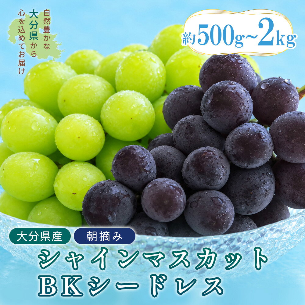 【ふるさと納税】大分県産 シャインマスカット BKシードレス 2種セット 【選べる内容量】約500g～約2kg ぶどう 葡萄 大分県 姫島村2B1