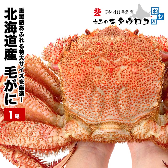 【ふるさと納税】【12月22日決済確定分まで年内配送】毛がに800g～1kg C-25025