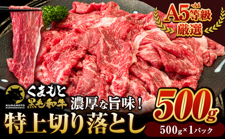 くまもと黒毛和牛 特上切り落とし ウデ・モモ 切り落とし 500g 牛肉 冷凍 《30日以内に出荷予定(土日祝除く)》冷凍庫 個別 取分け 小分け 個包装 モモ スライス 肉 お肉 しゃぶしゃぶ すき焼き A5 A4 