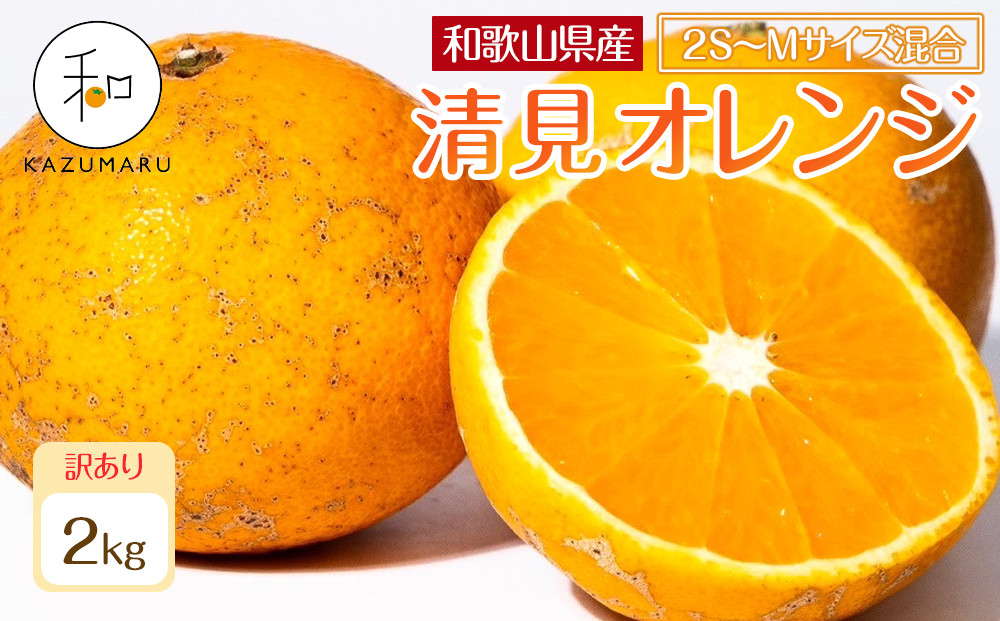 訳あり 森本農園の手選別 小粒清見オレンジ 約2kg 和歌山県産 2S～Mサイズ混合 ［北海道・沖縄・離島配送不可］［2026年2月上旬から5月中旬頃順次発送予定］［RN96］ 303446_DJ90096