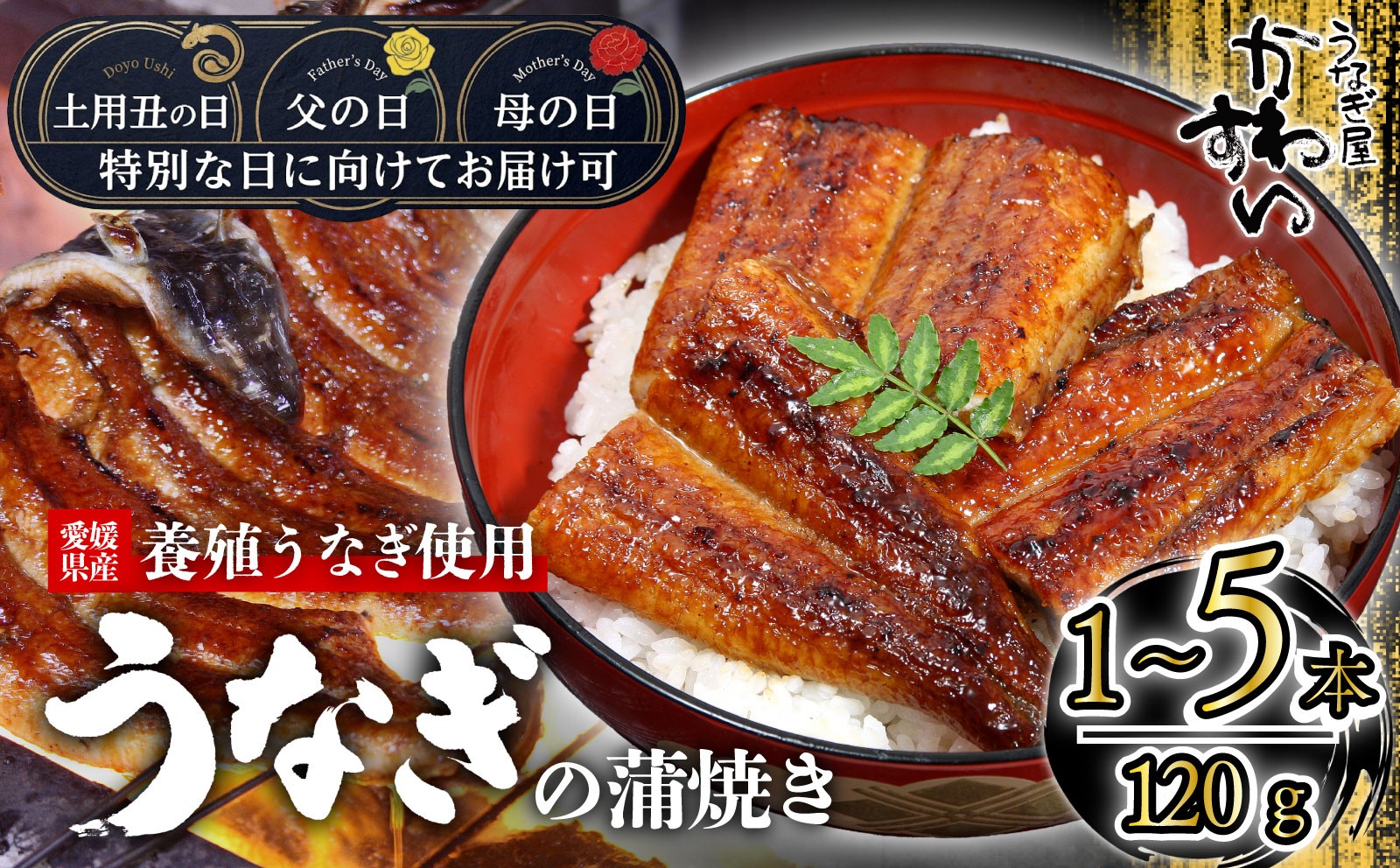 
                  【容量選択可】【土用丑の日/父の日/母の日お届け可能！】〈うなぎ屋かわすい〉愛媛県松山市養殖うなぎを使用！うなぎ蒲焼 1本～5本 (1尾：120～149g)  ｜うなぎ ウナギ 鰻 蒲焼き 国産 お取り寄せ グルメ ふるさと納税 簡単調理 土用丑の日 ギフト 贈り物 お中元 お歳暮 母の日 父の日 かわすい 川口水産 愛媛県 松山市
                