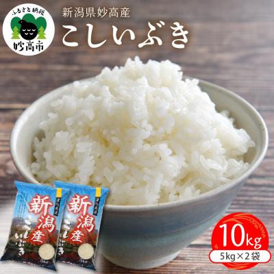 ふるさと納税 妙高市 新潟県妙高産こしいぶき10kg【順次発送】