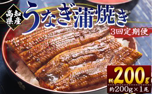 定期便 うなぎ 蒲焼き 約200g １尾 3回 高知県産 養殖 魚介 国産 海鮮 魚 かばやき 鰻 ウナギ 惣菜 おかず お手軽 加工品 加工食品 冷凍 Wfb-0046