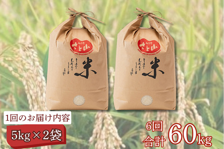 【定期便6回】三瀬村産「コシヒカリ」5kg×2袋 お米 精米：C195-007