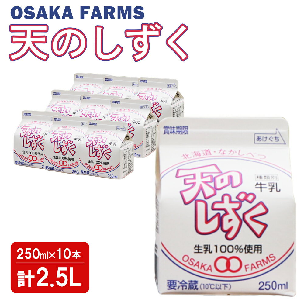【ふるさと納税】天のしずく 250ml × 10本 計 2.5L 牛乳 ミルク　生乳100％ お取り寄せ 贈り物 中温殺菌 OSAKA FARMS 北海道 中標津町 中標津【5100501】