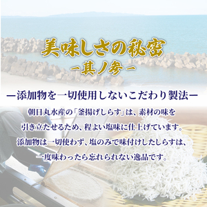 しらす 釜揚げ 定期便 計600g 200g ×3回 先行予約 2025年5月発送 ちりめんじゃこ じゃこ しらす ちりめん 小魚 魚 海鮮 魚介類 魚貝 シーフード いわし 鰯 おかず おつまみ 惣