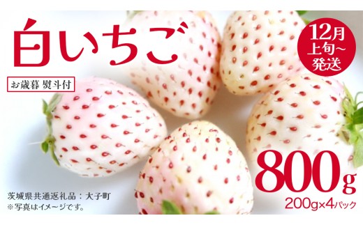 【 お歳暮 熨斗付き 】 白いちご 200g（8～12粒）×4パック (茨城県共通返礼品：大子町) いちご 苺 果物 フルーツ 果実 贈答用 ギフト 贈り物