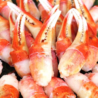 ふるさと納税 泉大津市 本ズワイ蟹ボイル爪肉　1kg