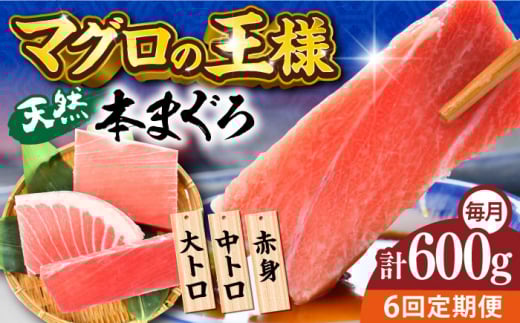 【全6回定期便】天然 本まぐろ 大トロ・中トロ・赤身（約200ｇ×3柵）約600ｇ  鮪 マグロ 魚 刺身 横須賀【本まぐろ直売所】 [AKAK075]