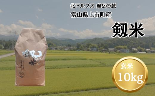 【令和7年産】上市町産コシヒカリ「剱米」（玄米）10kg　 [ソムリエH 富山県 上市町 32280235-r6-04] 　お米 コメ ご飯 ごはん 玄米ご飯 玄米ごはん こしひかり