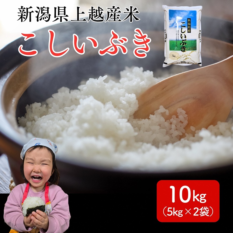 令和8年産 先行予約 新潟県 上越市産米 こしいぶき 10kg（5kg