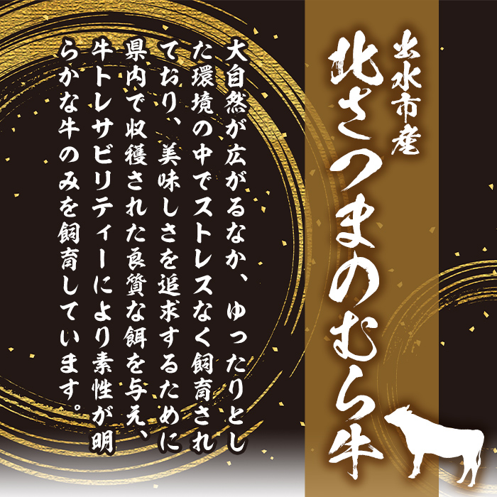 i315 ≪鹿児島県産黒毛和牛≫出水市産北さつまのむら牛 黒毛和牛サーロインステーキ(計600g・200g×3枚)肉質のきめが細かく旨味の凝縮された牛肉【吉澤商店】