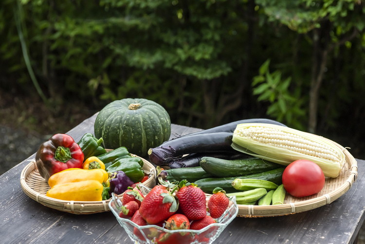 【毎月6回定期便】道の駅「虹の森公園まつの」産直市 新鮮野菜セット6種類以上 ◇