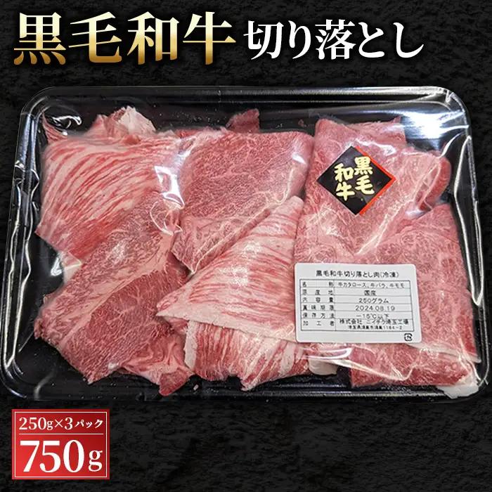 黒毛和牛切り落とし250g×3パック 合計750g No.430