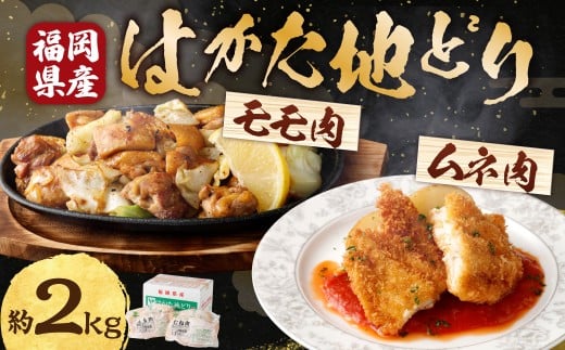 Ｍ252 福栄組合 はかた地どりもも肉とむね肉のセット 計2kg 地どり 鳥肉 もも肉 むね肉 セット 料理 晩御飯 冷凍 福岡県 糸田町