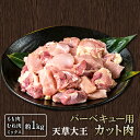 【ふるさと納税】天草大王 バーベキュー用カット肉 1kg 熊本県産 【幻の地鶏】長洲町 もも肉 むね肉《60日以内に出荷予定(土日祝除く)》