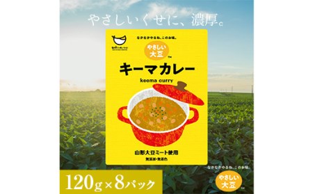 山形大豆ミート やさしい大豆 キーマカレー 120g×8パック F3S-1621