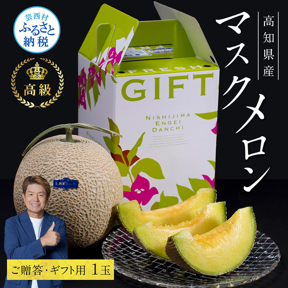 【ふるさと納税】 コロナ 緊急支援 高知県産 高級マスクメロン(ご贈答・ギフト用)1玉入 故郷納税【発送期間：4月〜12月(9カ月)】【1月〜3月は気候温度不安定の為出荷不可となります】〈南国市共通返礼品〉食べ物 プレゼント 果物 お中元 御中元 のし 熨斗